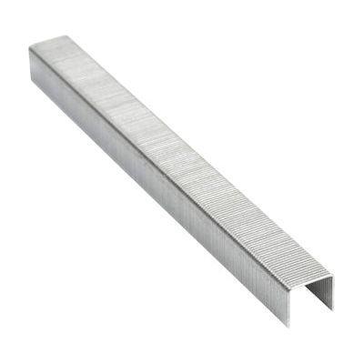 40303081