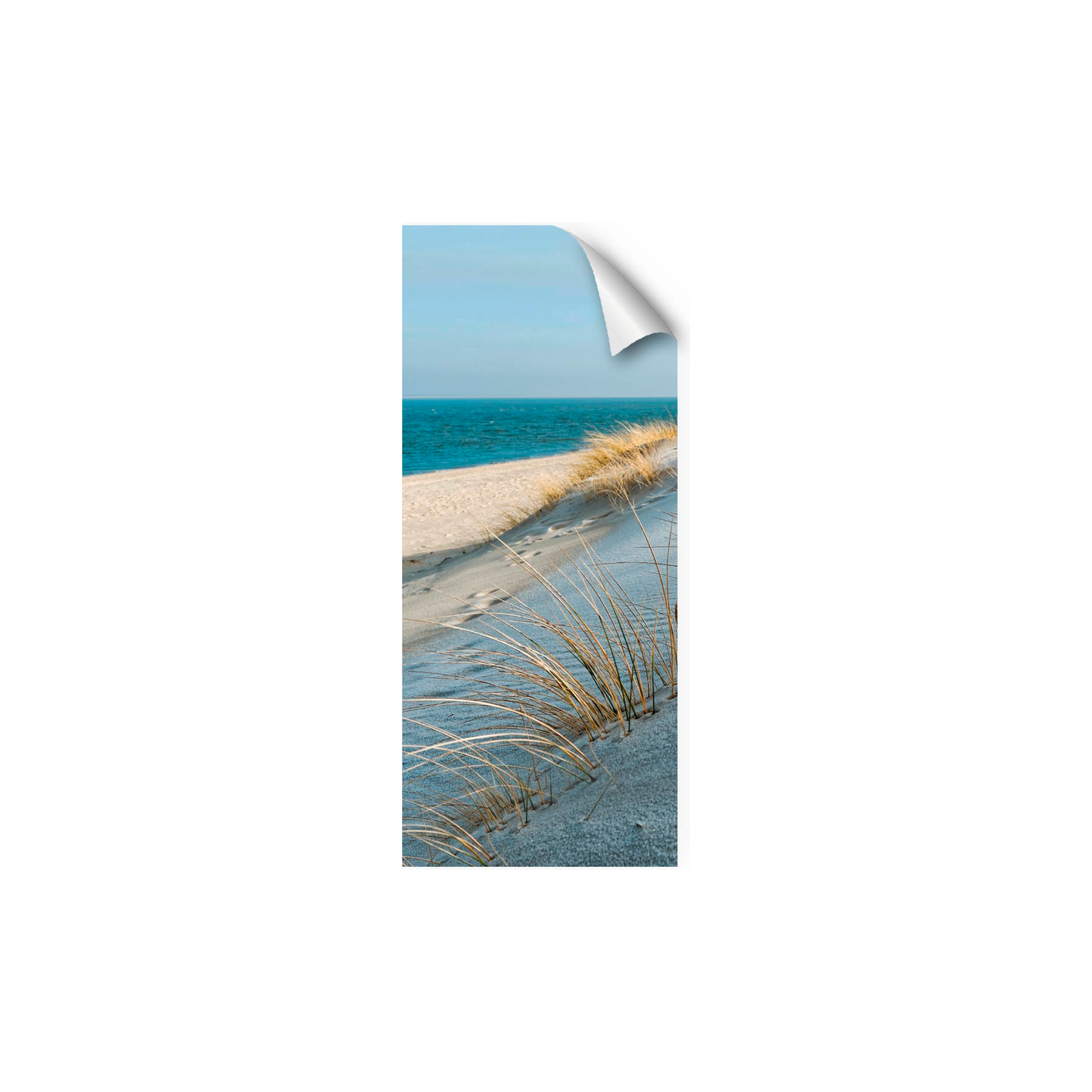 mySpotti Fresh -suihkun taustakalvo 90x210 cm Sea Cost