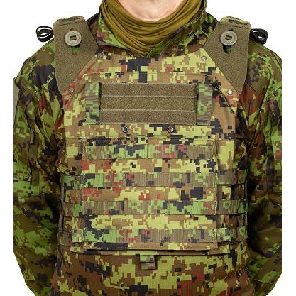 Plaadikandja digilaik