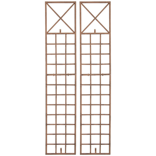 2 Trigo-säleikön setti