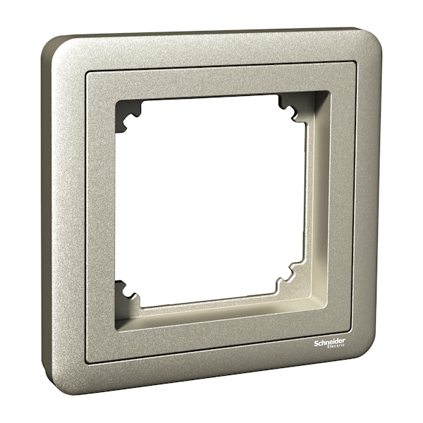 Peitelevy adapterilla Schneider Electric ExxactCombi, 1-osainen