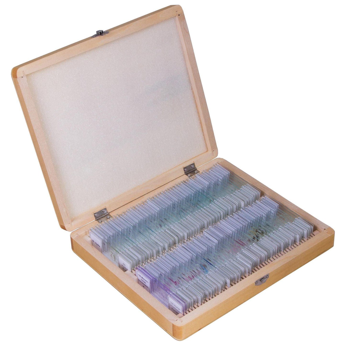 Bresser Prepared Slides Set 100pcs, with case | 73765 | 4007922003610 | Kotikauppa | Bresser