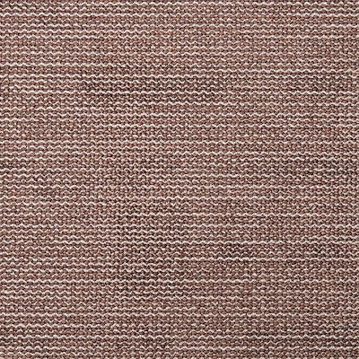 5420905081