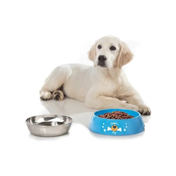 Brunner koiran ruokakulhosetti Hungry XL