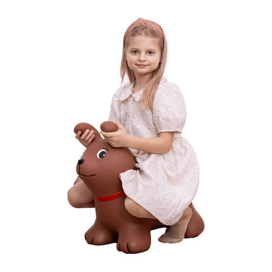 My First JUMPY – Brown Dog