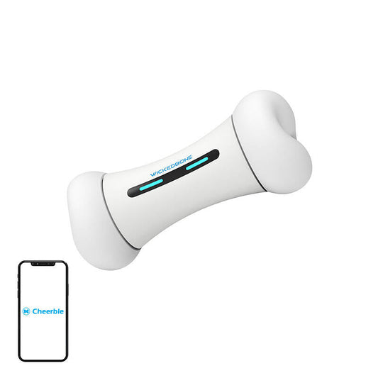 Interactive Dog Toy Cheerble Wickedbone - Kotikauppa