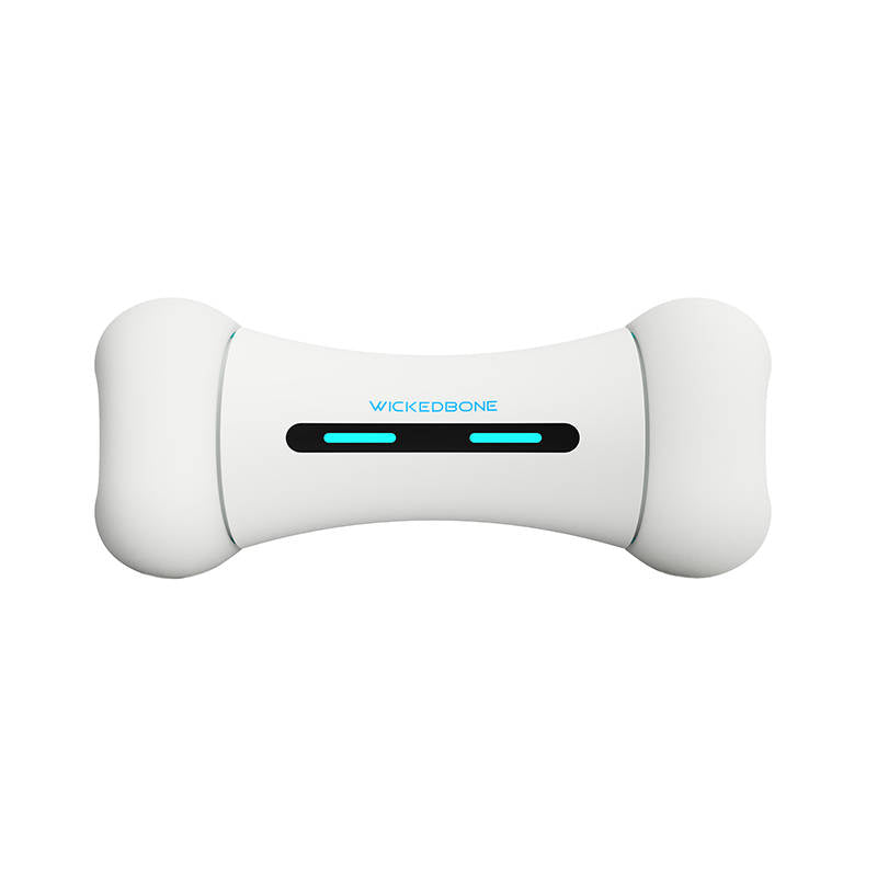 Interactive Dog Toy Cheerble Wickedbone - Kotikauppa