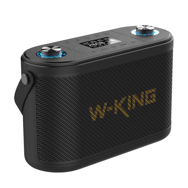 Langattomat Bluetooth kaiuttimet W-KING H10 120W (black) - Kotikauppa