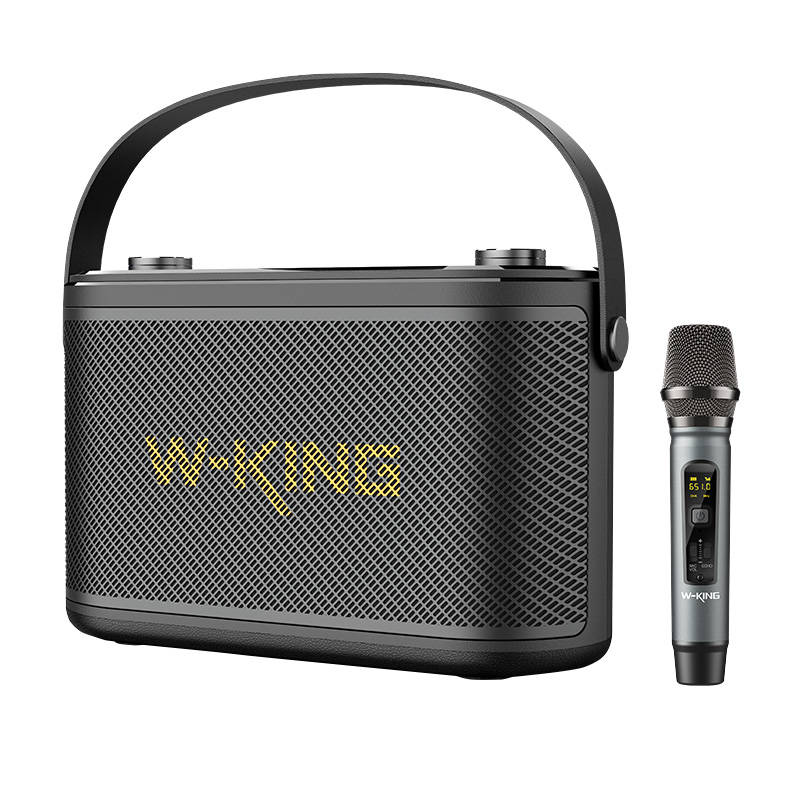 Langattomat Bluetooth kaiuttimet W-KING H10 S 80W (black) - Kotikauppa