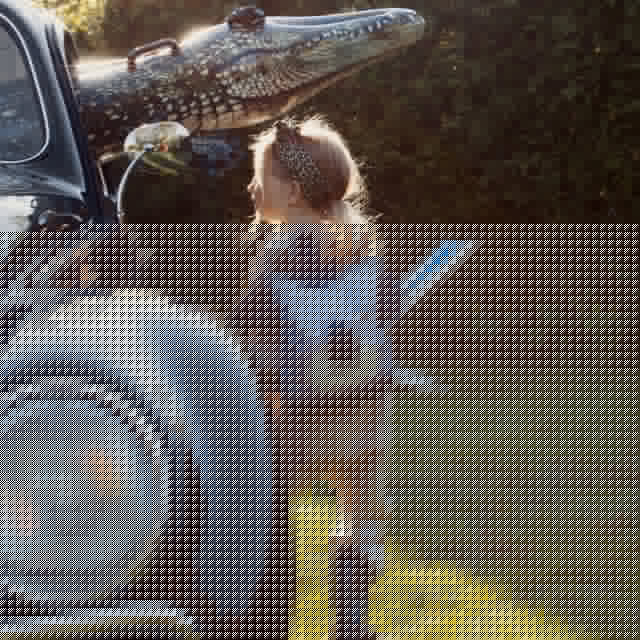 Kids backpack - Koala