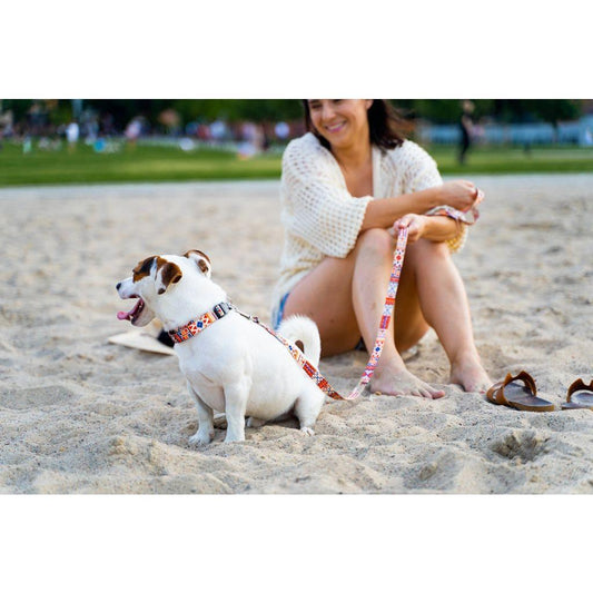 Dog Leash - Boho