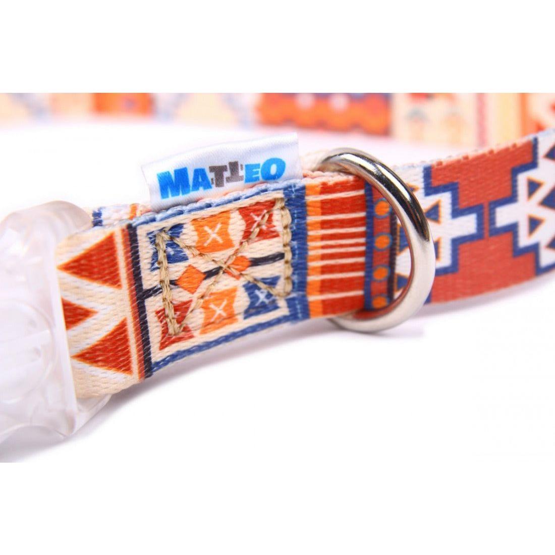 Dog Collar With a Plastic LED Buckle - Boho
