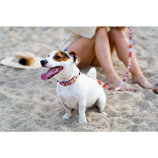 Quick Fastning Dog Collar - Boho