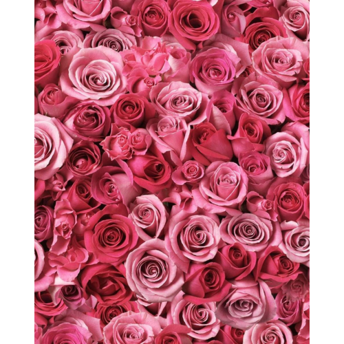 Rose Face Cleansing Foam, 150ml
