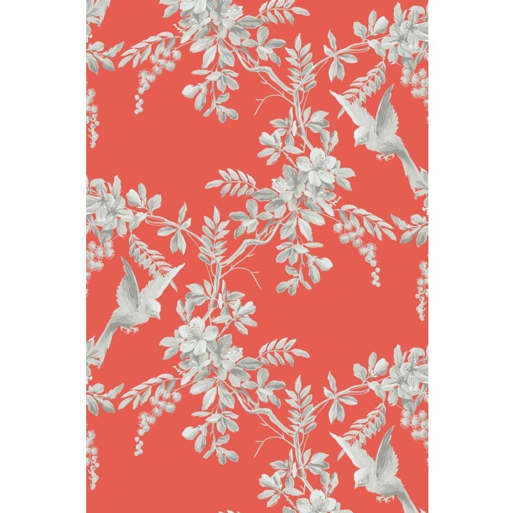 Red bird (itseliimautuva) - Kotikauppa