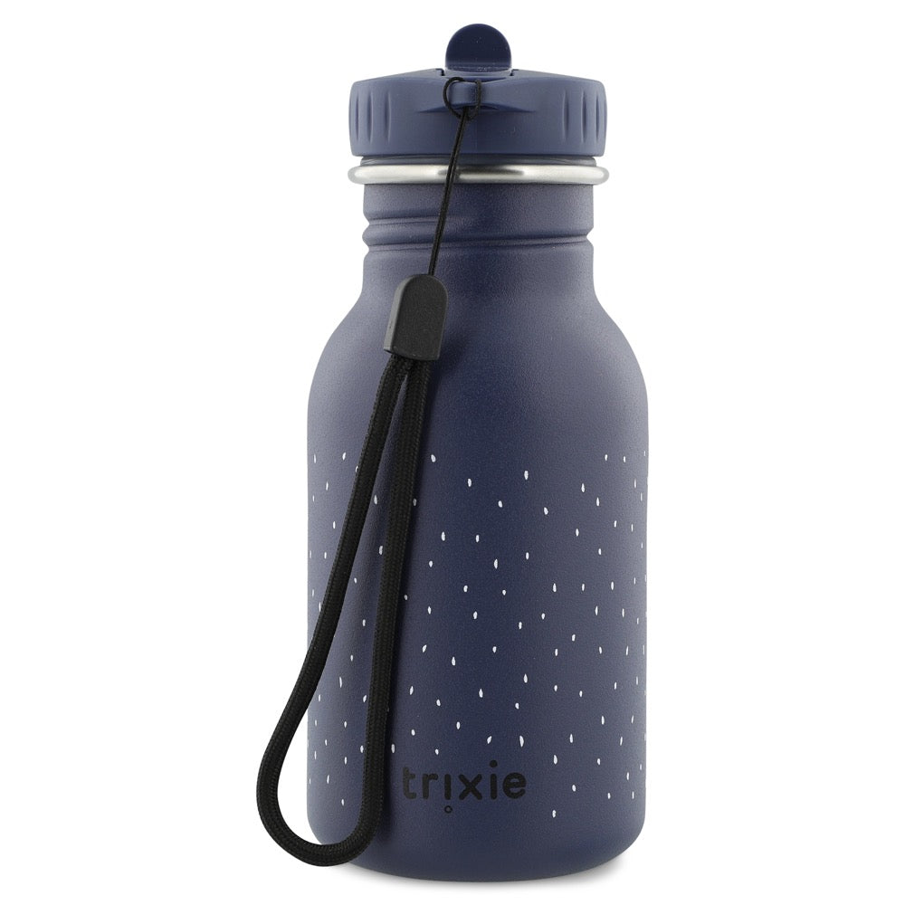 Stainless Steel Bottle 350 ml - Mr Penguin - Kotikauppa