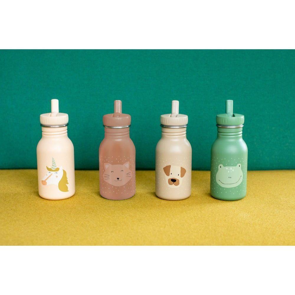 Stainless Steel Bottle 350 ml - Mrs Cat - Kotikauppa