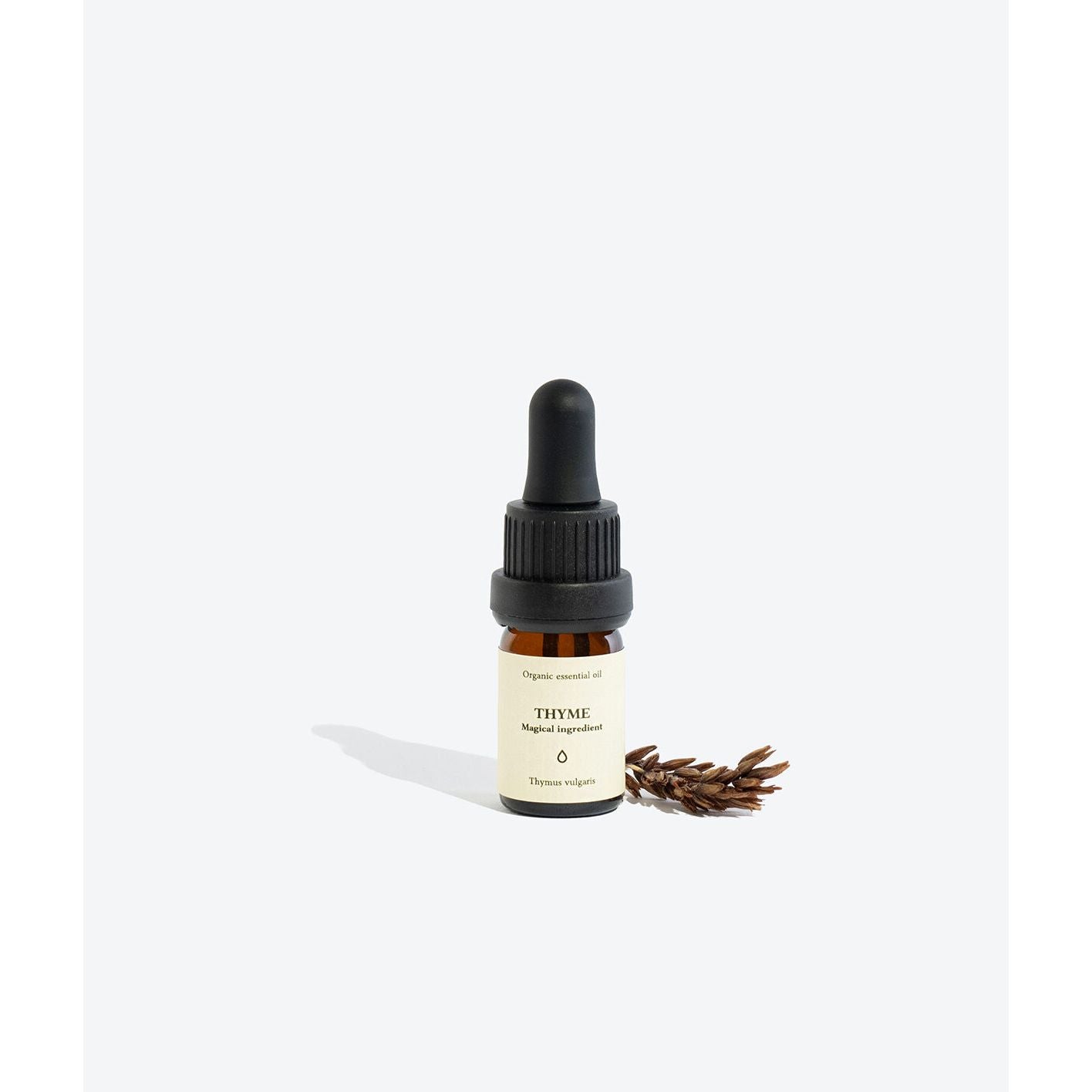 THYME Essential Oil