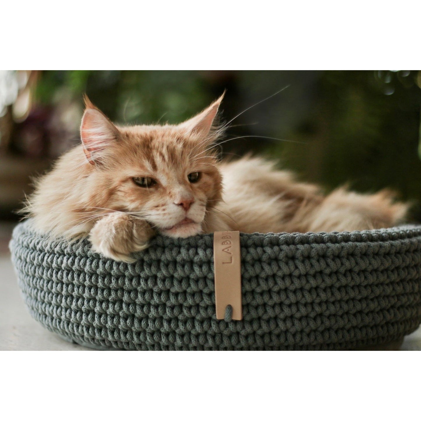 Coco Dog/Cat Bed - Green