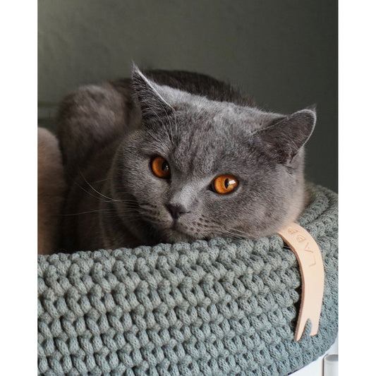 Coco Dog/Cat Bed - Green