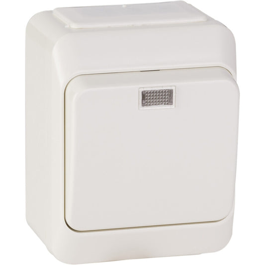 Vipupainike Schneider Electric Artic 1T VIPUPAINIKE-6438054015734