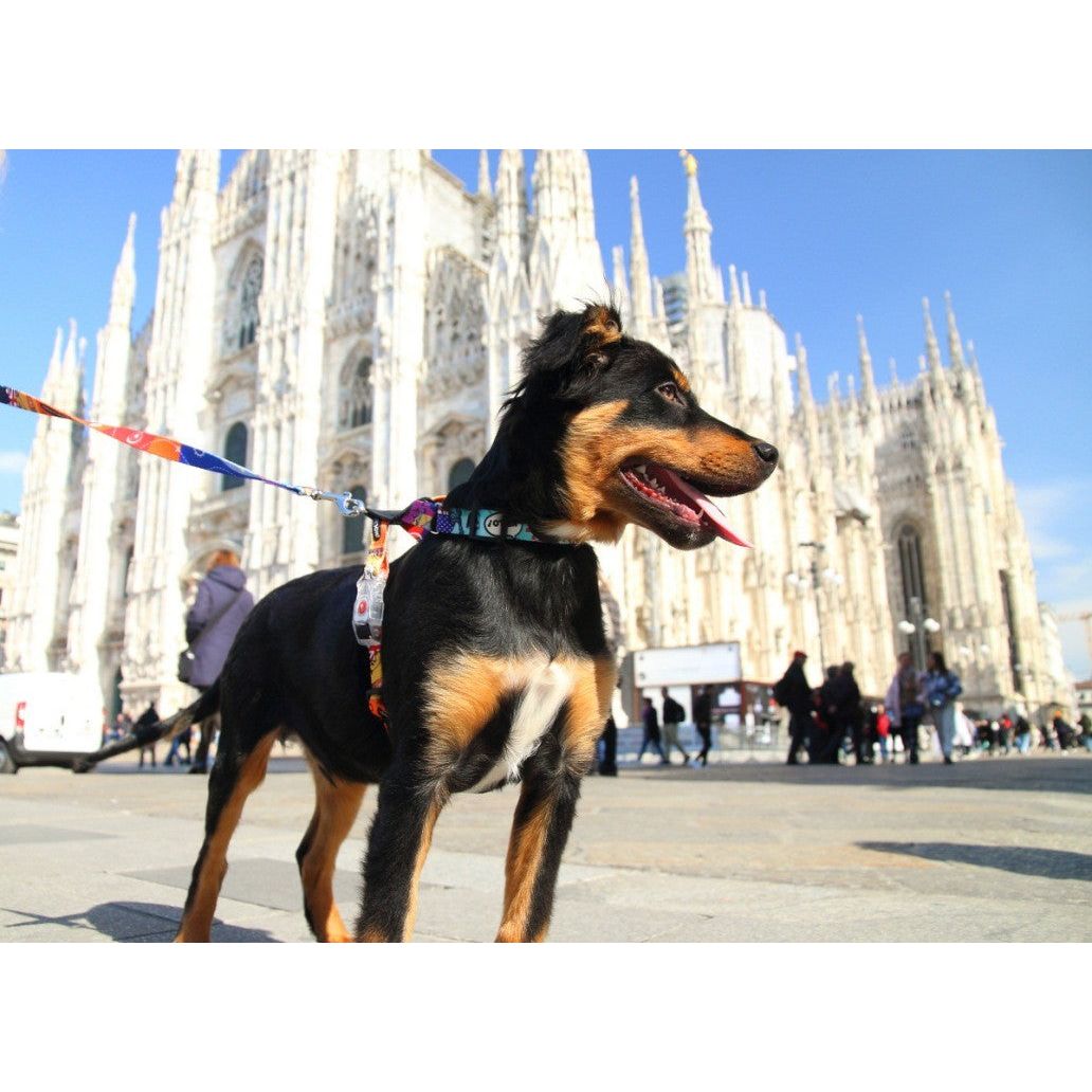Harness With Leather – Travel