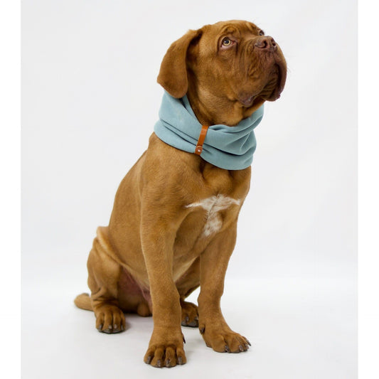 Inko Neck Warmer - Turquoise
