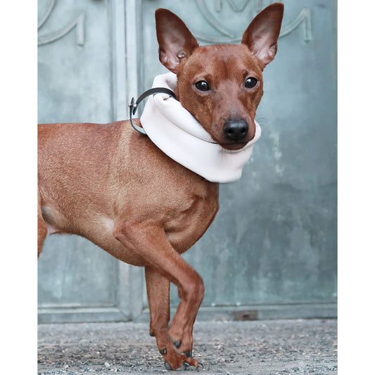 Inko Neck Warmer - White Sand