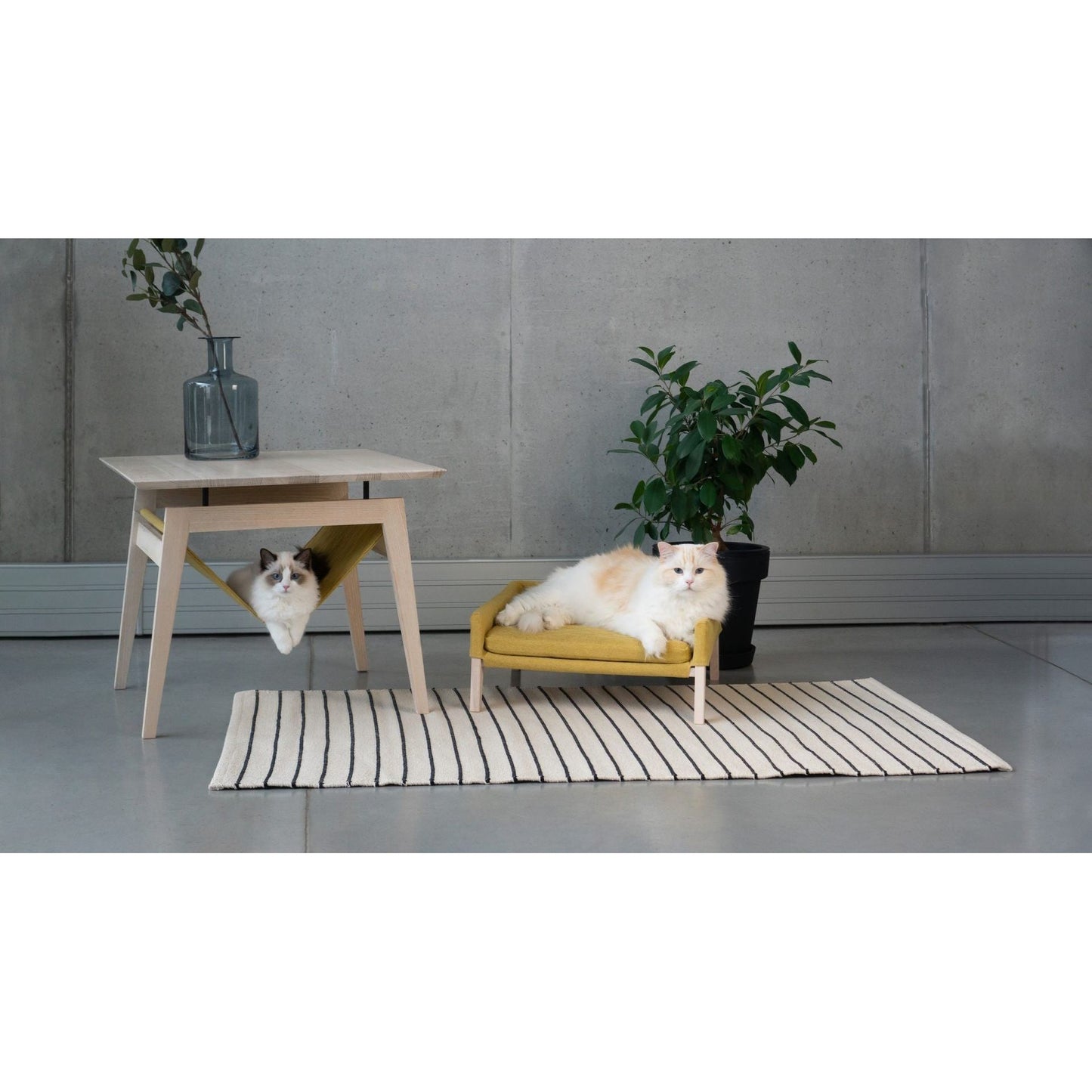 Kikko Table & Lulu Bed for Cat - Honey