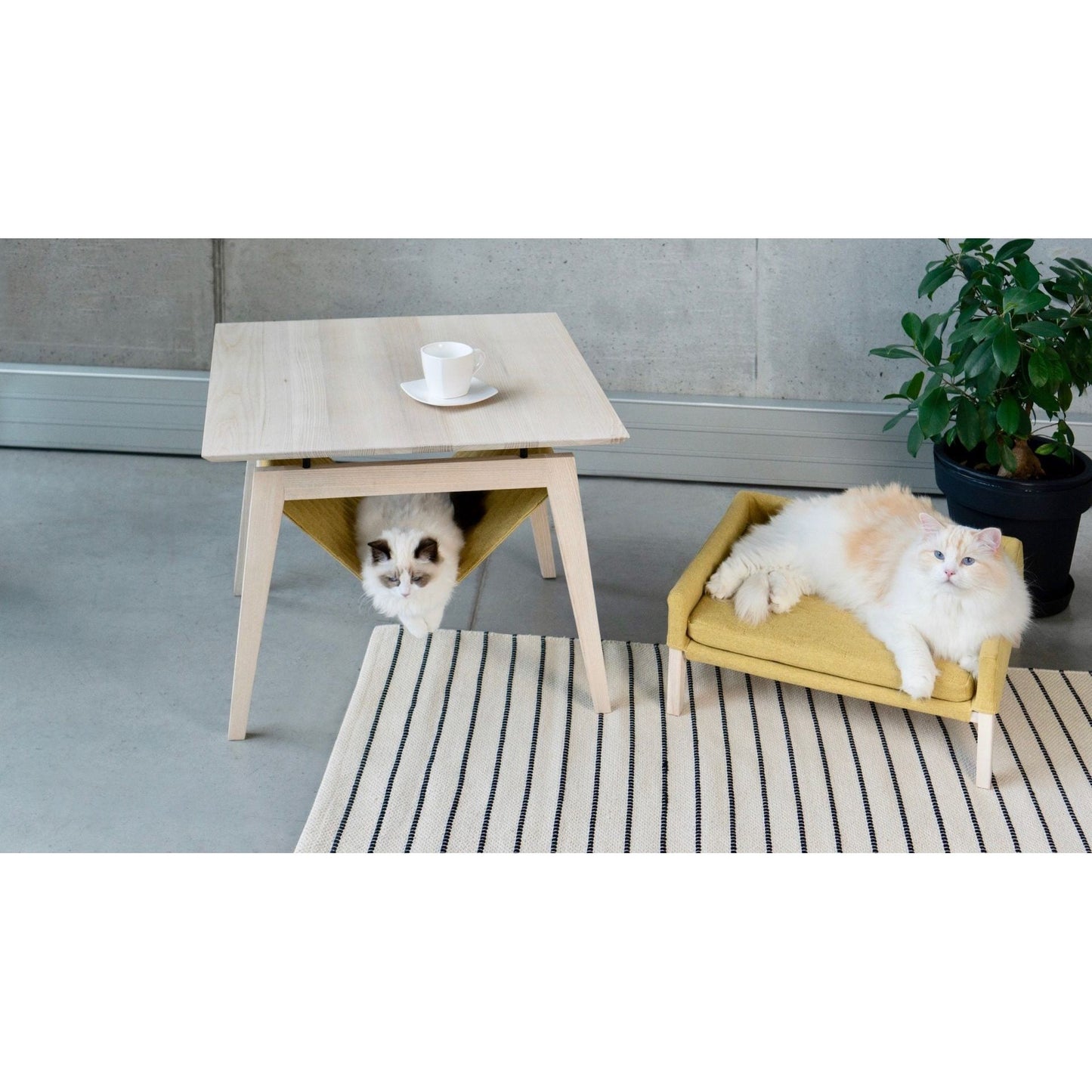 Kikko Table & Lulu Bed for Cat - Honey