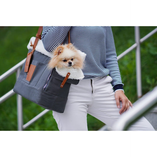 Liiva Dog Carrier & Personal Bag - Grey