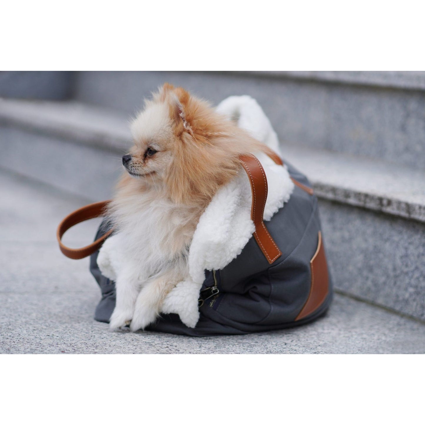 Liiva Dog Carrier & Personal Bag - Grey