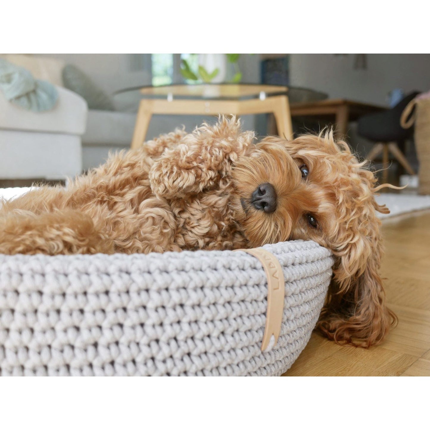 Lukko Dog Bed - Light Grey