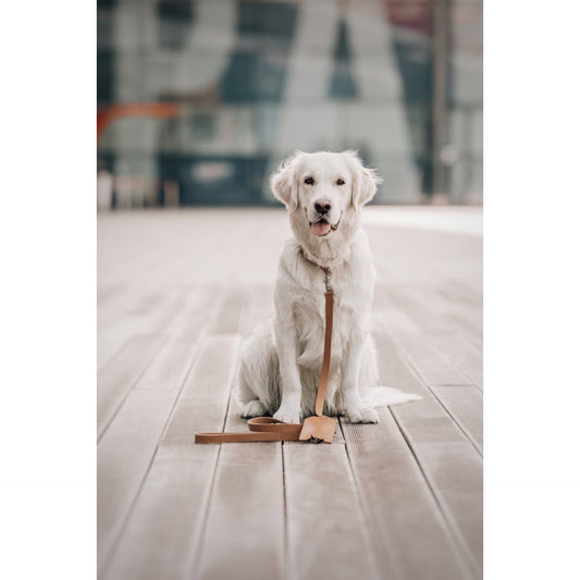 Lussa Leash - Camel