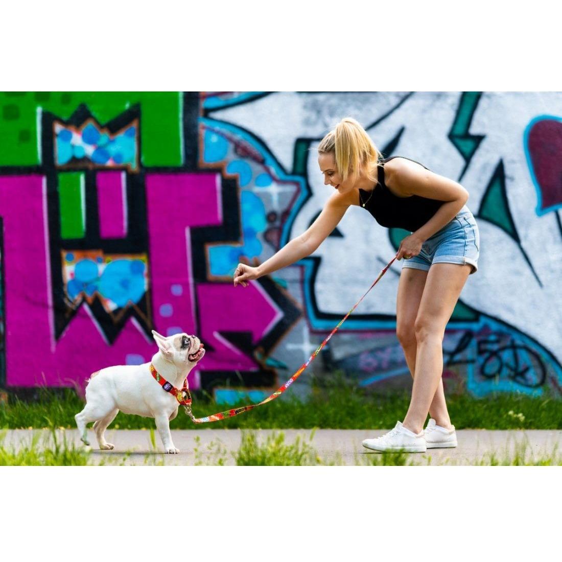 Martingale Collar - Red Graffiti