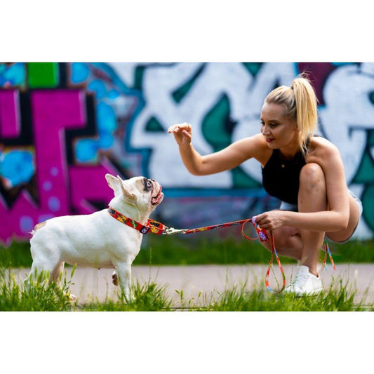 Martingale Collar - Red Graffiti