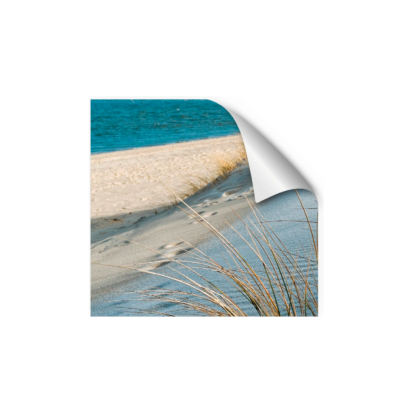 mySpotti Fresh -suihkun taustakalvo 90x210 cm Sea Cost | FS-F2-1402