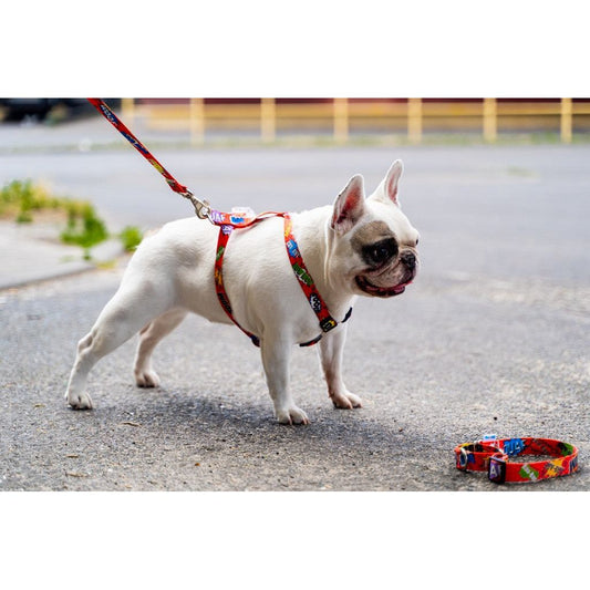 Nylon Harness – Red Graffiti