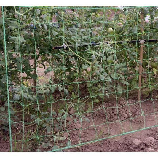 Kasvatusverkko (2m*10m)