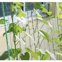 Kasvatusverkko (2m*10m)