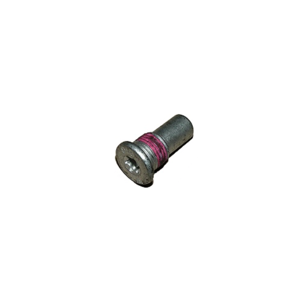 Ruuvi torx AL-KO AKS 3004 | 372284 | 4251302422069 | Kotikauppa | AL-KO