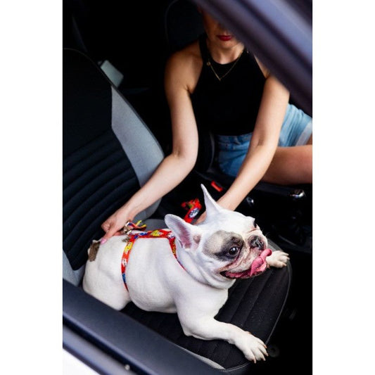 Safety Belt - Red Graffiti