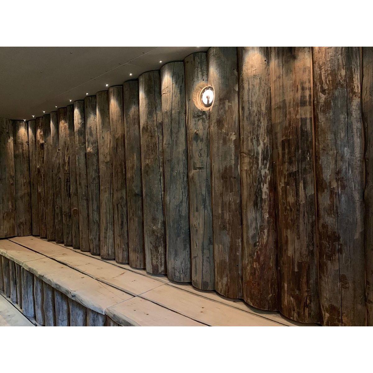 Valokuituvalaisin Cariitti VPL10-E511 IP55 2m² sauna