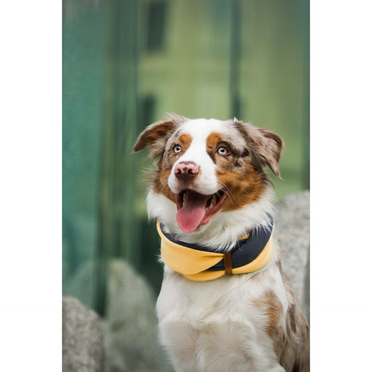 Simo Neck Warmer - Gold & Iron