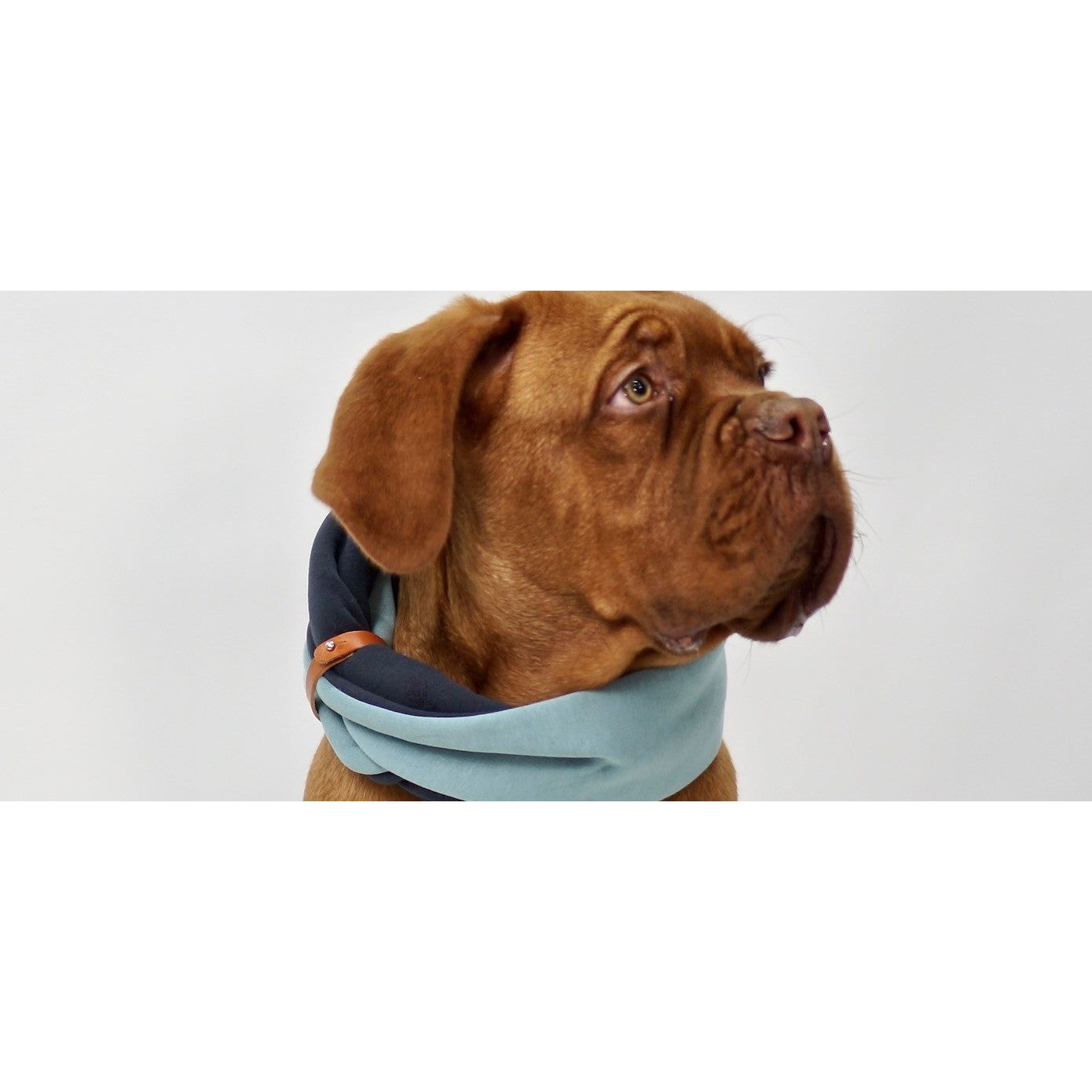 Simo Neck Warmer - Turquoise & Iron