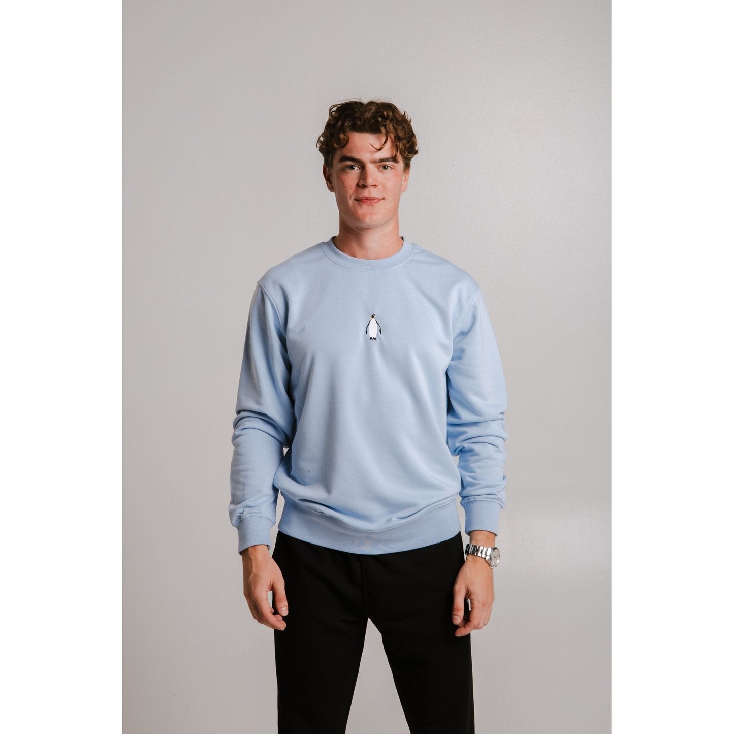 Emperor Penguin Soft Fleece Sweatshirt - Light Blue