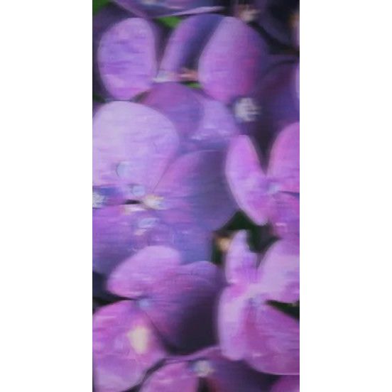 Spray Perfume - Incognito, 15ml, 50ml