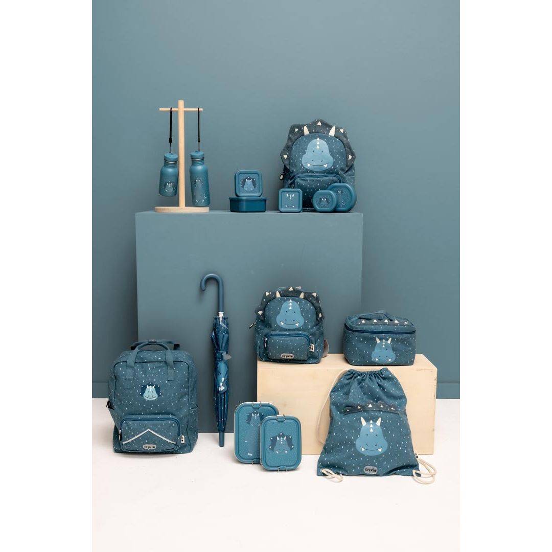 Stainless Steel Bottle 500 ml - Mr. Triceratops