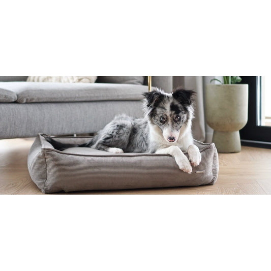 Strippo Dog Bed - Mokka