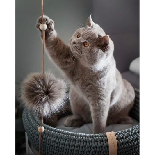 Tollo Cat Toy - Anthracite